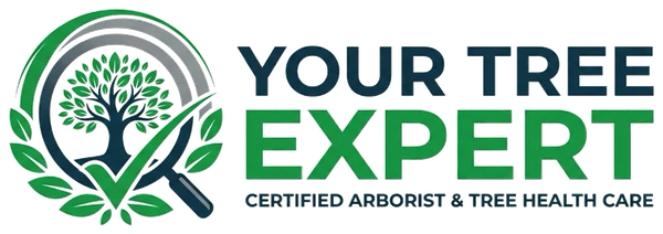 Your Tree Expert — Certified Arborist & Tree Health Care